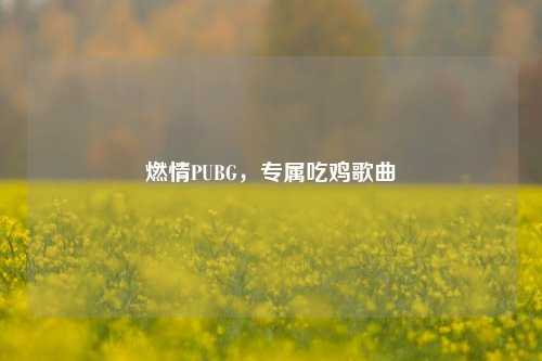 燃情PUBG,专属吃鸡歌曲