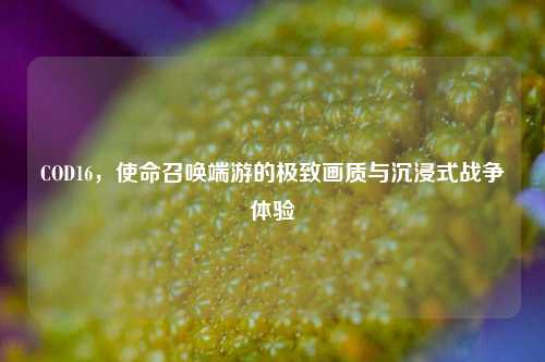 COD16,使命召唤端游的极致画质与沉浸式战争体验