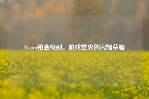 Steam铂金级别,游戏世界的闪耀荣耀