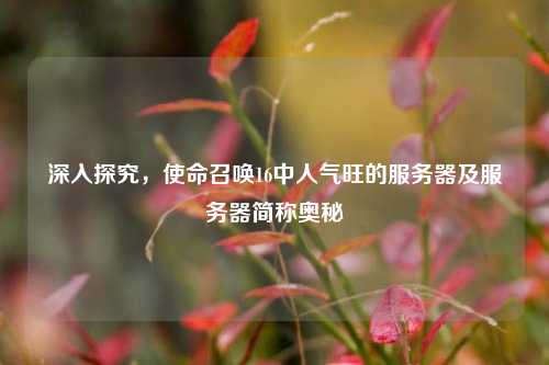 深入探究,使命召唤16中人气旺的服务器及服务器简称奥秘