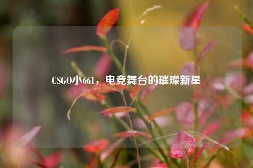 CSGO小661,电竞舞台的璀璨新星