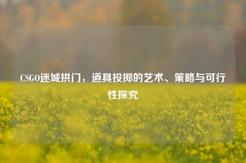 CSGO迷城拱门,道具投掷的艺术、策略与可行性探究