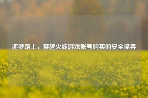 逐梦路上,穿越火线游戏账号购买的安全探寻