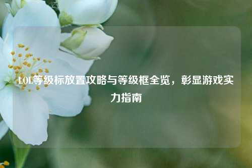 LOL等级标放置攻略与等级框全览,彰显游戏实力指南