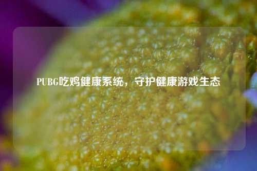 PUBG吃鸡健康系统,守护健康游戏生态
