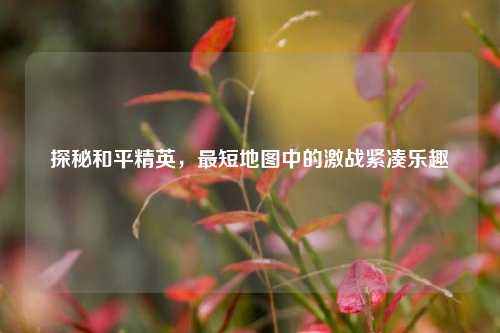 探秘和平精英,最短地图中的激战紧凑乐趣