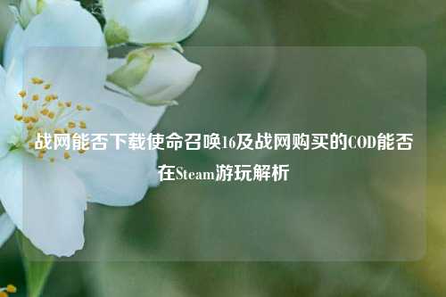 战网能否下载使命召唤16及战网购买的COD能否在Steam游玩解析
