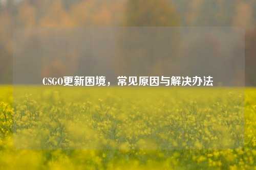 CSGO更新困境,常见原因与解决办法