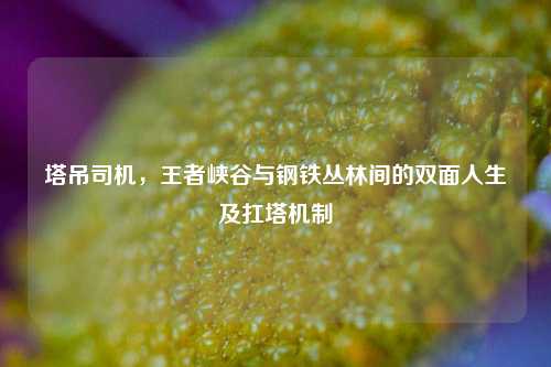 塔吊司机,王者峡谷与钢铁丛林间的双面人生及扛塔机制
