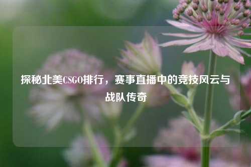 探秘北美CSGO排行,赛事直播中的竞技风云与战队传奇