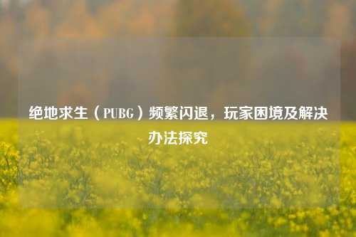 绝地求生(PUBG)频繁闪退,玩家困境及解决办法探究