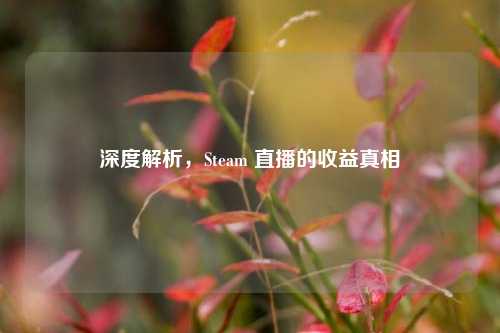 深度解析,Steam 直播的收益真相