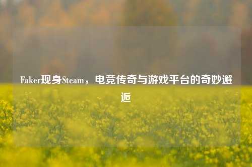 Faker现身Steam,电竞传奇与游戏平台的奇妙邂逅