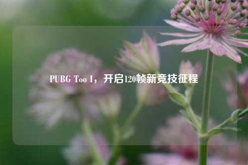 PUBG Too I,开启120帧新竞技征程