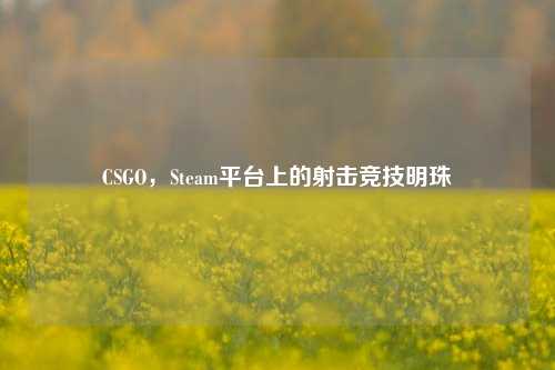 CSGO,Steam平台上的射击竞技明珠
