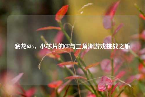 骁龙636,小芯片的CF与三角洲游戏挑战之旅