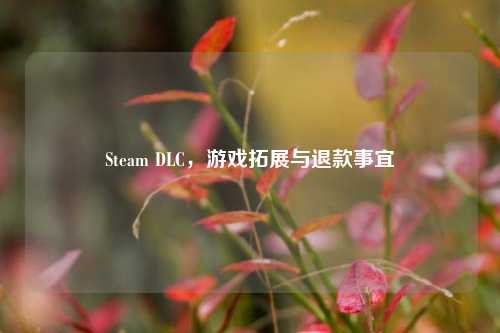 Steam DLC,游戏拓展与退款事宜
