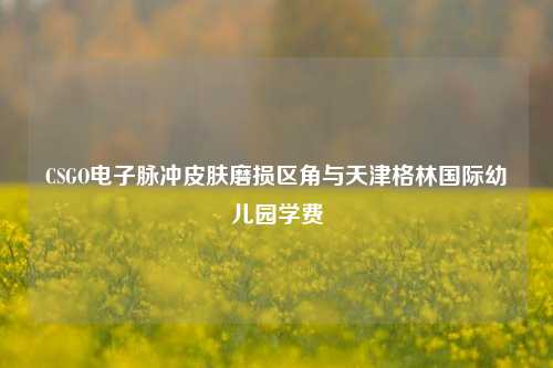 CSGO电子脉冲皮肤磨损区角与天津格林国际幼儿园学费