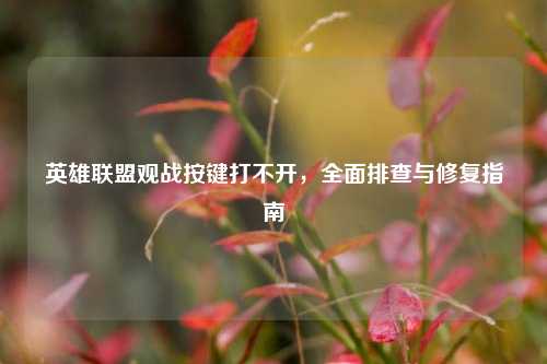 英雄联盟观战按键打不开，全面排查与修复指南