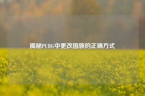 揭秘PUBG中更改国旗的正确方式