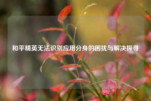 和平精英无法识别应用分身的困扰与解决探寻