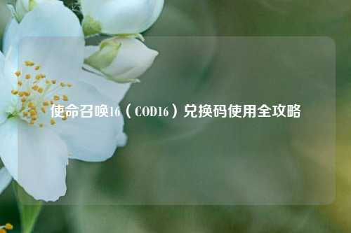 使命召唤16(COD16)兑换码使用全攻略