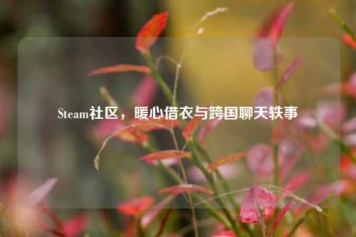 Steam社区,暖心借衣与跨国聊天轶事