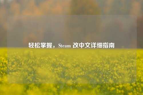 轻松掌握,Steam 改中文详细指南