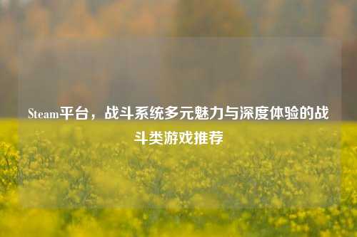 Steam平台,战斗系统多元魅力与深度体验的战斗类游戏推荐