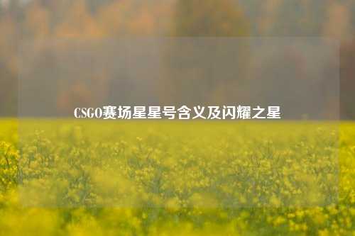 CSGO赛场星星号含义及闪耀之星