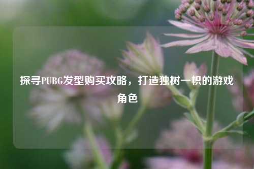 探寻PUBG发型购买攻略,打造独树一帜的游戏角色
