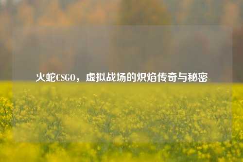 火蛇CSGO,虚拟战场的炽焰传奇与秘密