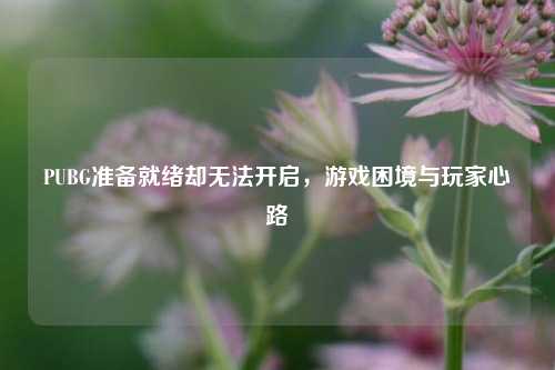 PUBG准备就绪却无法开启,游戏困境与玩家心路