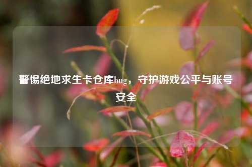 警惕绝地求生卡仓库bug,守护游戏公平与账号安全