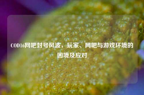 COD16网吧封号风波,玩家、网吧与游戏环境的困境及应对