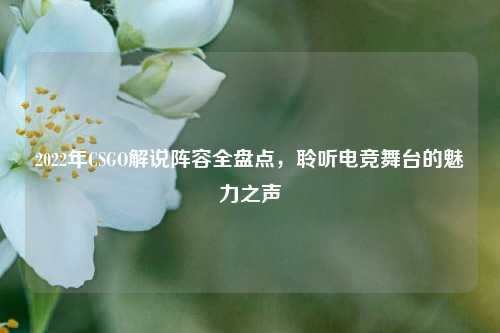 2022年CSGO解说阵容全盘点,聆听电竞舞台的魅力之声
