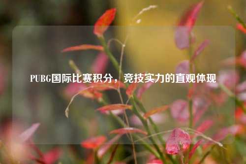 PUBG国际比赛积分,竞技实力的直观体现