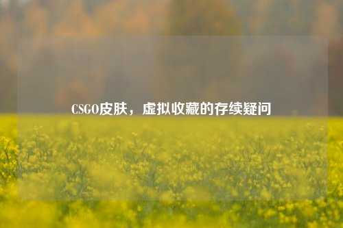 CSGO皮肤,虚拟收藏的存续疑问