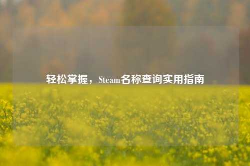 轻松掌握,Steam名称查询实用指南
