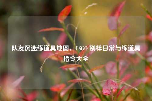 队友沉迷练道具地图,CSGO 别样日常与练道具指令大全