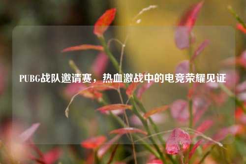 PUBG战队邀请赛,热血激战中的电竞荣耀见证