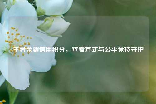 王者荣耀信用积分,查看方式与公平竞技守护