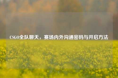 CSGO全队聊天,赛场内外沟通密码与开启方法
