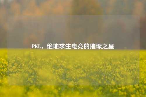 PKL,绝地求生电竞的璀璨之星