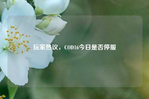 玩家热议，COD16今日是否停服