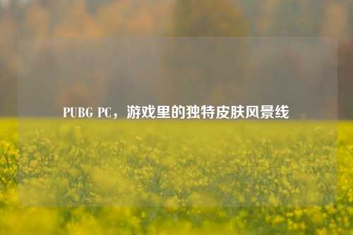 PUBG PC,游戏里的独特皮肤风景线