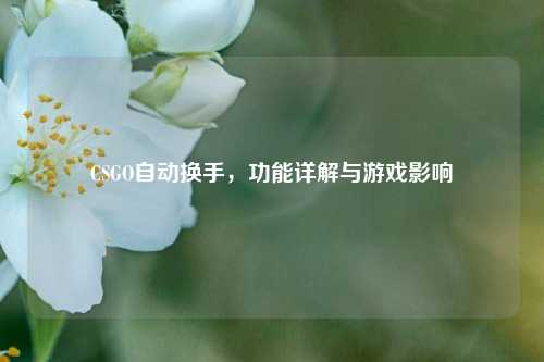 CSGO自动换手,功能详解与游戏影响