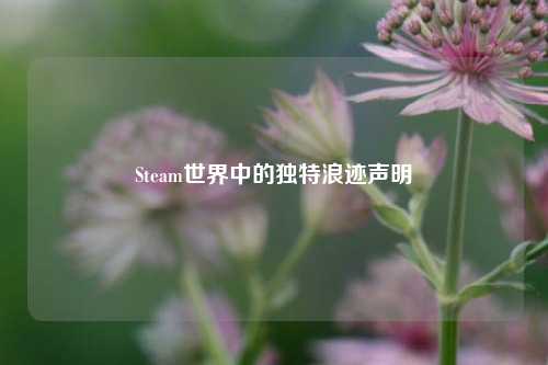Steam世界中的独特浪迹声明