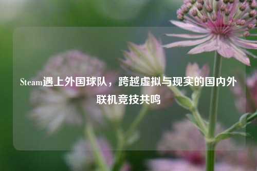 Steam遇上外国球队,跨越虚拟与现实的国内外联机竞技共鸣