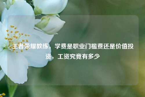 王者荣耀教练,学费是职业门槛费还是价值投资,工资究竟有多少